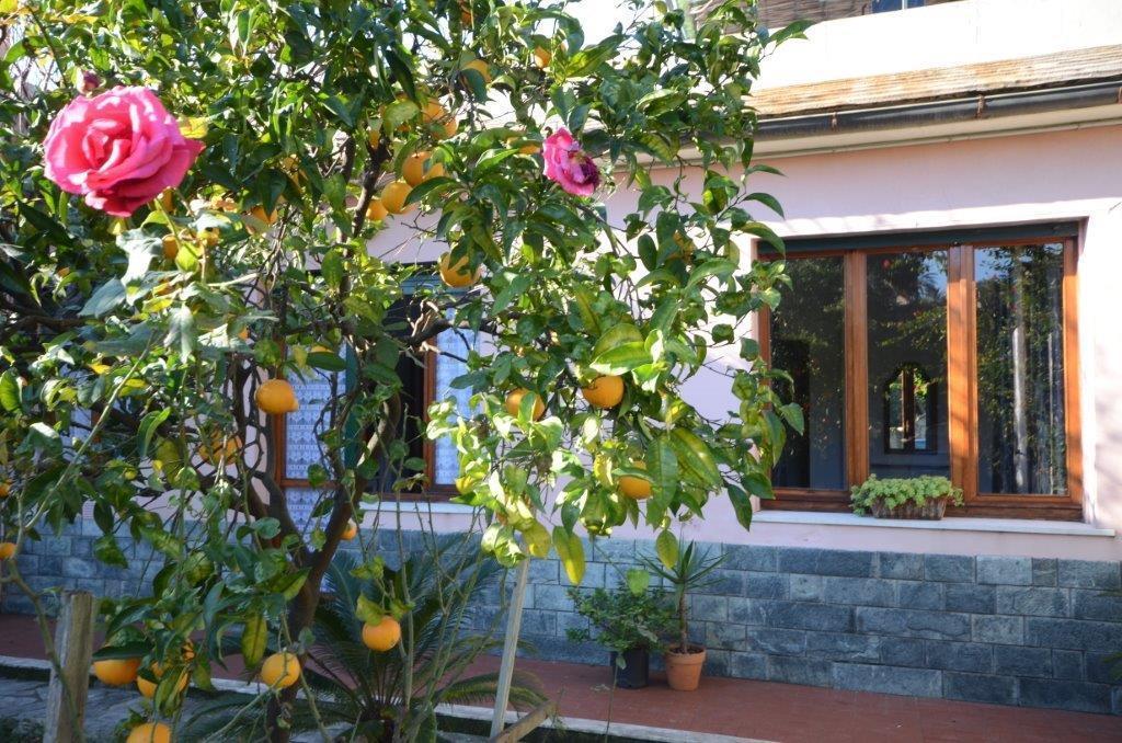 Casa Tra Il Verde E Il Blu Γένοβα Δωμάτιο φωτογραφία