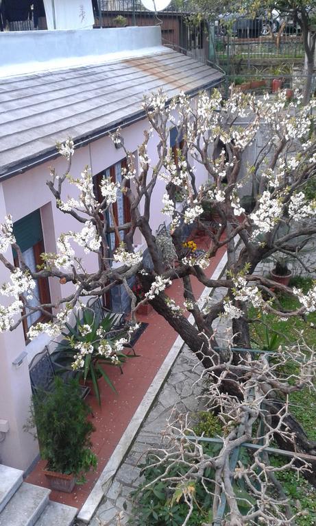 Casa Tra Il Verde E Il Blu Γένοβα Εξωτερικό φωτογραφία